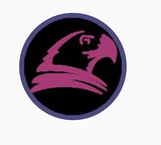 Naif Falcon Trading LLC